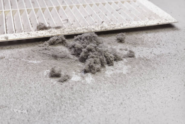 Best Affordable Duct Cleaning Services  in Clara City, MN