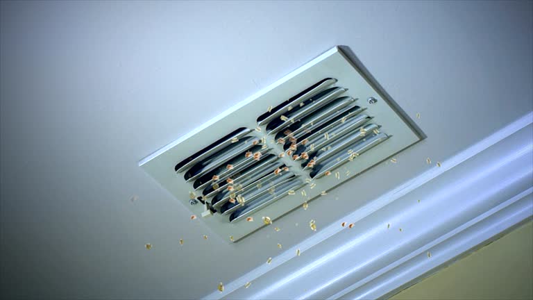Best Residential Air Duct Cleaning  in Clara City, MN