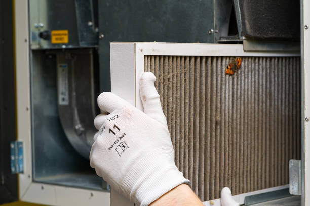 Best Air Duct Cleaning Near Me  in Clara City, MN