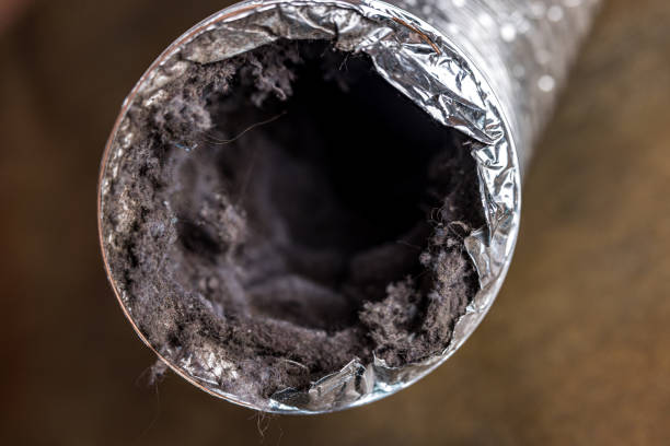 Best Commercial Air Duct Cleaning  in Clara City, MN