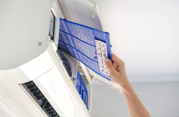 Best Dryer Vent Cleaning Services  in Clara City, MN