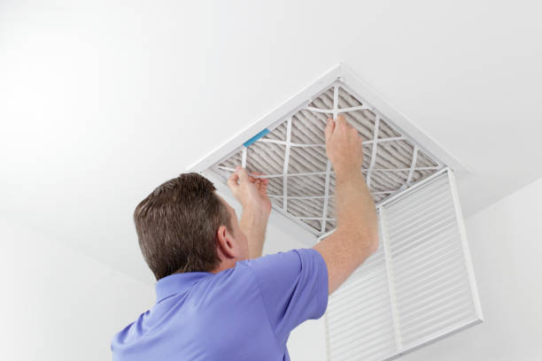 Best Duct Cleaning for Offices  in Clara City, MN